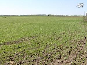 Желающих продать земельные паи - всего 12%