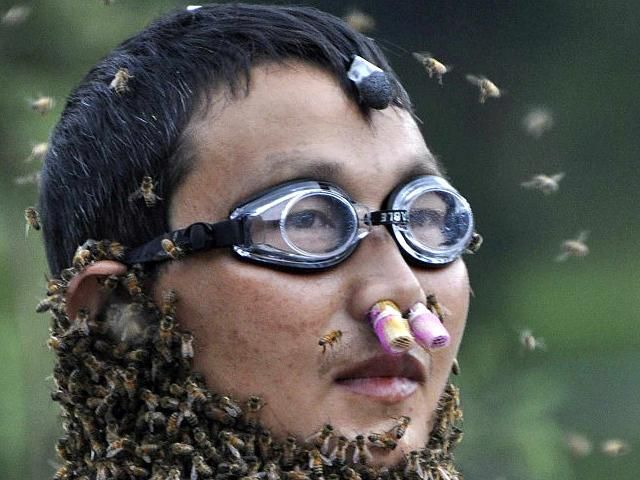 У Китаї пройшов конкурс з найбільшої кількості бджіл на тілі