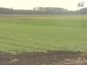 Сільськогосподарських земель в Україні побільшає Сільськогосподарських земель в Україні побільшає