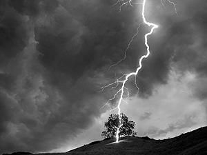 На Житомирщине молния убила женщину На Житомирщине молния убила женщину