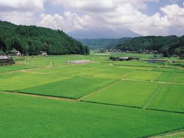 Азаров отправил парламенту земельную реформу Азаров отправил парламенту земельную реформу