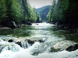 Рівень річок у Карпатах може піднятись на 1,5 метри Рівень річок у Карпатах може піднятись на 1,5 метри