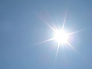 Через аномальну спеку в США загинули 13 людей Через аномальну спеку в США загинули 13 людей