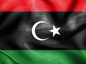 Грищенко поблагодарил представителя Каддафи за эвакуацию украинцев Грищенко поблагодарил представителя Каддафи за эвакуацию украинцев