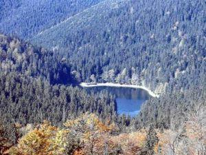 Украинский С-D фильм ужасов будут снимать на озере Синевир