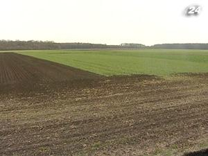 Аграрии соберут самый низкий за 4 сезона урожай рапса