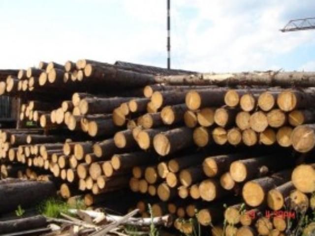 Виробництво деревообробної галузі в Україні зросло на 41% Виробництво деревообробної галузі в Україні зросло на 41%