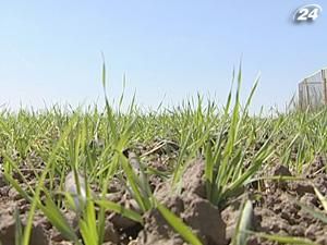 Цена гектара сельскохозяйственных угодий вырастет Цена гектара сельскохозяйственных угодий вырастет