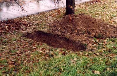 В Запорожье убили монаха В Запорожье убили монаха