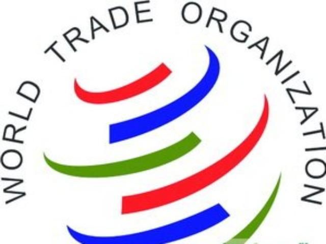 Гендиректор ВТО: Механизм переговоров организации парализован