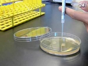 Американские ученые программируют бактерии Американские ученые программируют бактерии