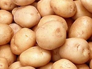 28 июля. День в истории - 28 июля 2011 - Телеканал новин 24 28 июля. День в истории - 28 июля 2011 - Телеканал новин 24