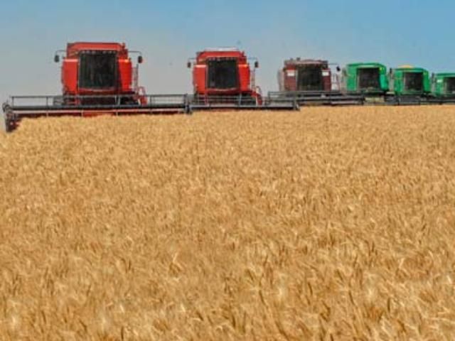 На мировой рынок зерна может выйти новый импортер На мировой рынок зерна может выйти новый импортер