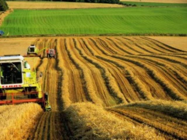 В 2012 году в Украине заработает земельный банк В 2012 году в Украине заработает земельный банк