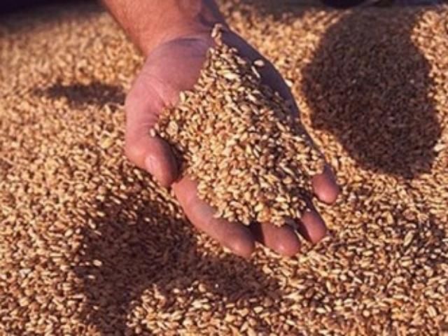 Эксперт: Украина экспортирует 22 миллиона тонн зерна