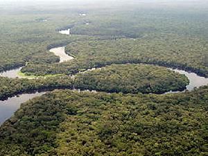 Конго: 100 людей загинули внаслідок зіткнення двох суден - 29 июля 2011 - Телеканал новин 24 Конго: 100 людей загинули внаслідок зіткнення двох суден - 29 июля 2011 - Телеканал новин 24