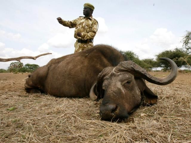 Світовий банк більше не буде допомагати Кенії боротися з посухою Світовий банк більше не буде допомагати Кенії боротися з посухою