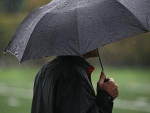 На понедельник обещают дожди На понедельник обещают дожди