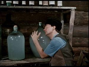 В Компартії виступають проти легалізації самогоноваріння В Компартії виступають проти легалізації самогоноваріння