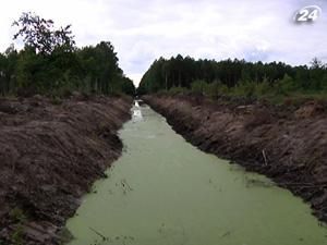 В Волынской области спасают леса от чрезмерного заболачивания