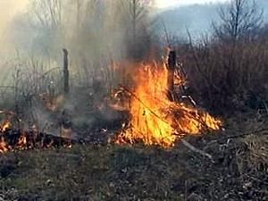 В Крыму оперативно ликвидировали пожар возле Никитского ботсада