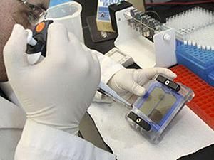 Маріуполь: На лікуванні перебувають лише п’ятеро вібріоносіїв Маріуполь: На лікуванні перебувають лише п’ятеро вібріоносіїв