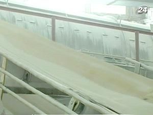 В уряді знизили прогноз виробництва цукру В уряді знизили прогноз виробництва цукру