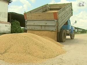 Экспорт зерна в июле установил антирекорд Экспорт зерна в июле установил антирекорд