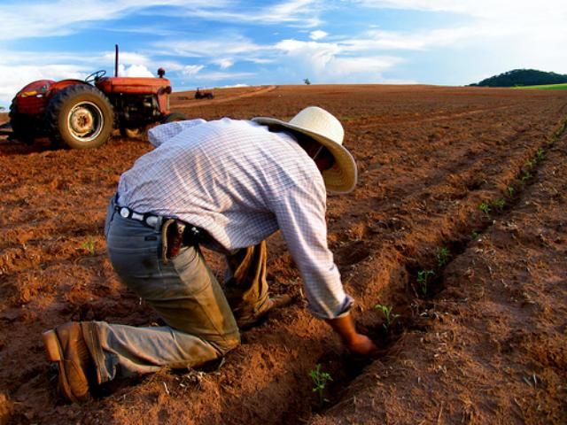 Українські аграрії позичили 32,7 млрд грн. Українські аграрії позичили 32,7 млрд грн.