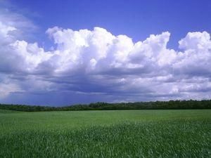 У п'ятницю має бути хмарно, але без опадів У п'ятницю має бути хмарно, але без опадів