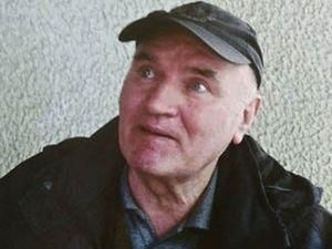 Адвокат требует для Младича психиатрической экспертизы