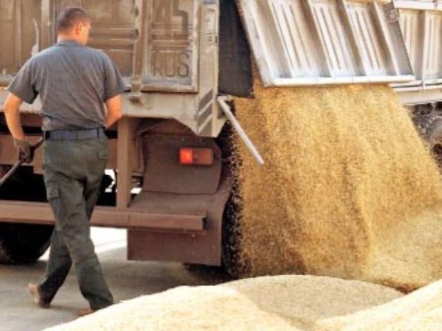 Саудівська Аравія закупила 52 тис т. української пшениці