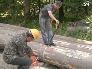 Зрубаний український ліс починають належно обліковувати Зрубаний український ліс починають належно обліковувати
