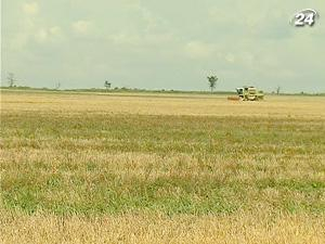 Тема недели: Ученые готовы содействовать созданию программы продовольственной безопасности 