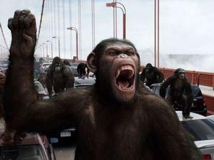 Фільм "Повстання планети мавп" дуже успішно стартував у американському прокаті
