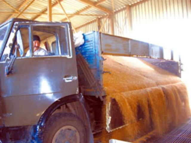 ООН не хочет создавать мировые запасы зерна в Украине ООН не хочет создавать мировые запасы зерна в Украине