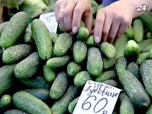 Россия снимает все ограничения на поставки овощей из Европы Россия снимает все ограничения на поставки овощей из Европы