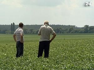 Держземагентство стане розпорядником 12 млн. га земель