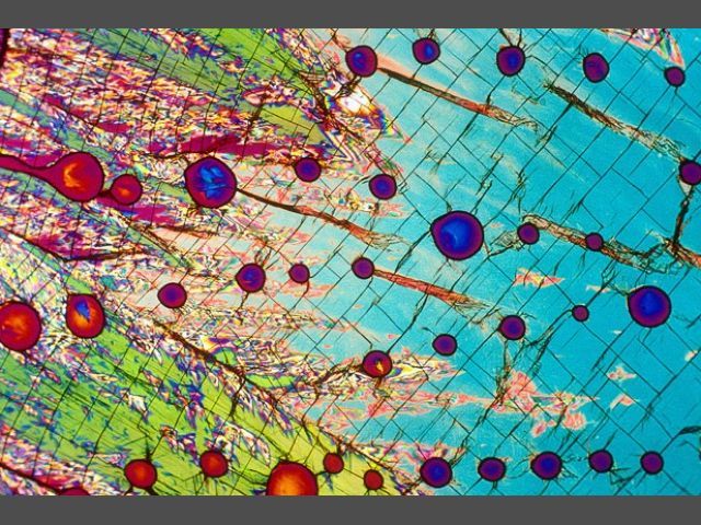 Ученые увидели как выглядит алкоголь вблизи Ученые увидели как выглядит алкоголь вблизи