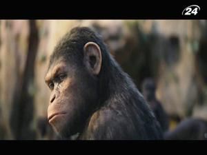"Повстання планети мавп": високорозвинуті примати здіймають бунт "Повстання планети мавп": високорозвинуті примати здіймають бунт
