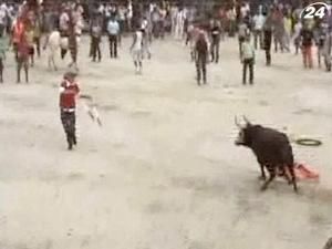 Бик убив тореадора-аматора та поранив більше 10 людей Бик убив тореадора-аматора та поранив більше 10 людей
