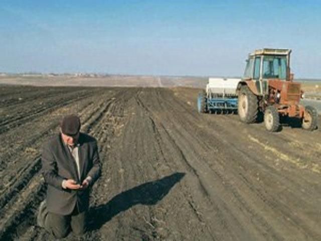 Казахстан залишить аграріїв без субсидій