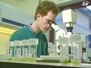 ГМО нужны, но надо знать меру ГМО нужны, но надо знать меру