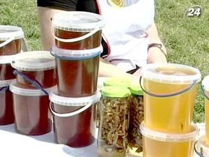 Накануне Медового Спаса в Пирогово поздравляли пчеловодов Накануне Медового Спаса в Пирогово поздравляли пчеловодов