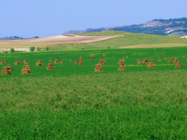 Россия хочет отдать землю азиатам