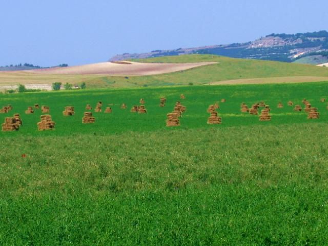 Россия хочет отдать землю азиатам Россия хочет отдать землю азиатам