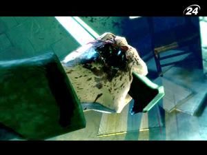 Швейцарские полицейские хотят запретить игру Darkness ІІ Швейцарские полицейские хотят запретить игру Darkness ІІ