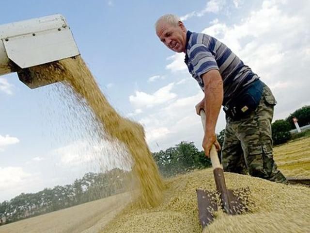 Украина экспортировала первый миллион зерна 