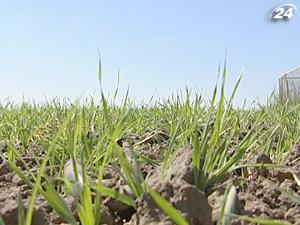 В 2013 году данные о земельных участках выложат в Интернете