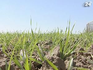 В 2013 году данные о земельных участках выложат в Интернете В 2013 году данные о земельных участках выложат в Интернете